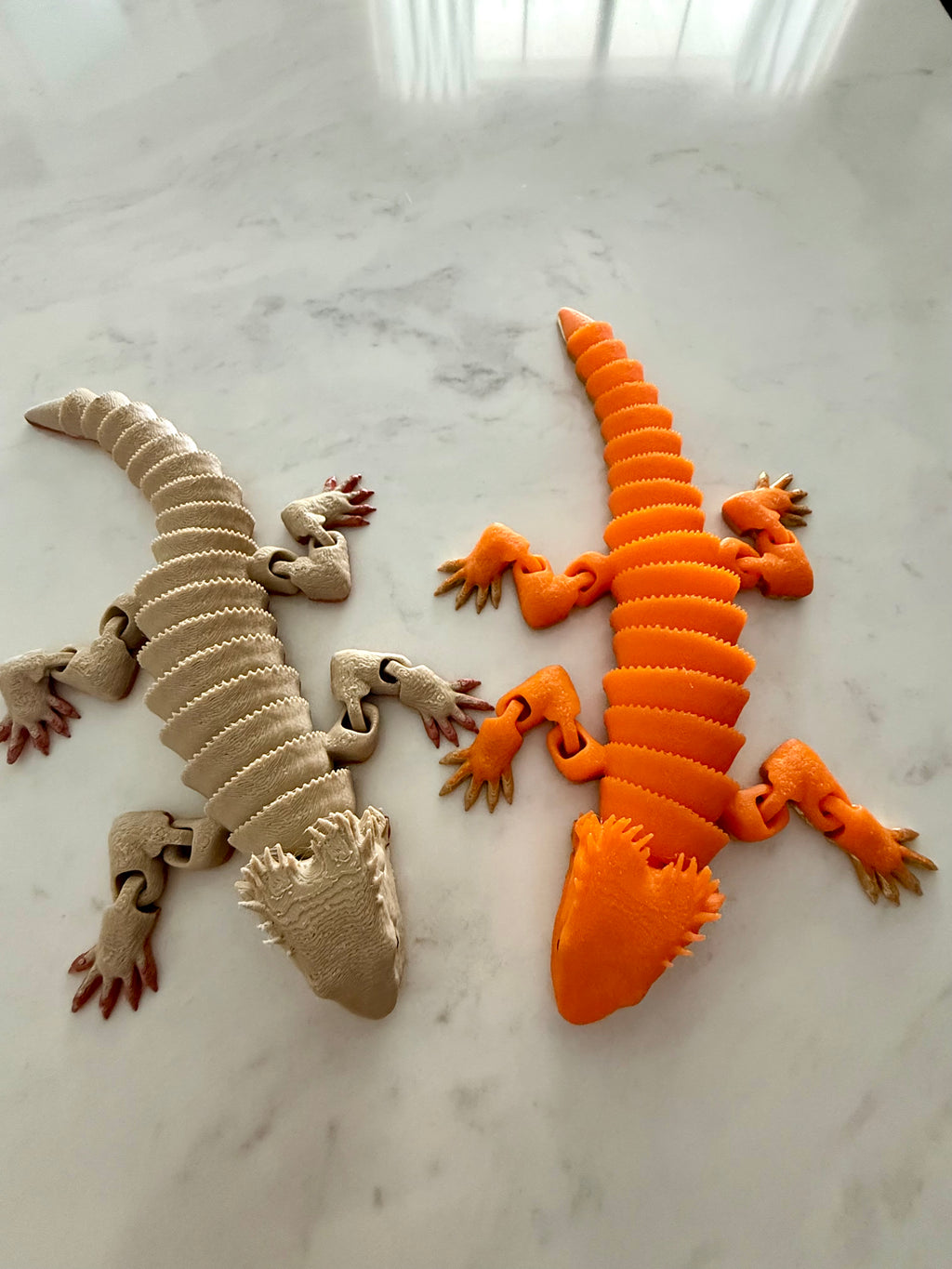 Bearded Dragon